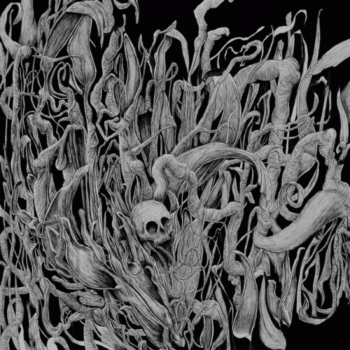 Kodiac : 80 Years without Slumber